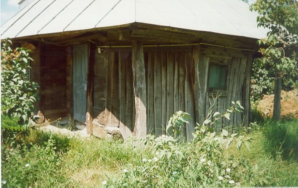 Photograph